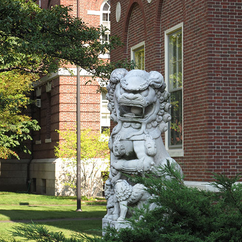 HYI Alumni News: Summer 2021