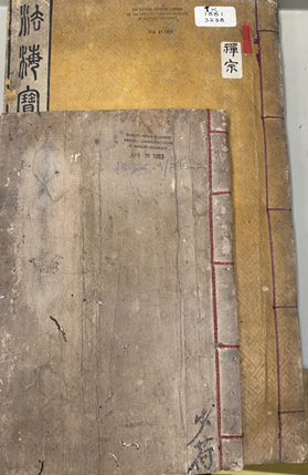 Two old books, one larger than the other, but both with the same kind of binding
